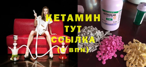 индика Верхний Тагил